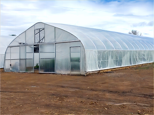 Glass greenhouse or film greenhouse？