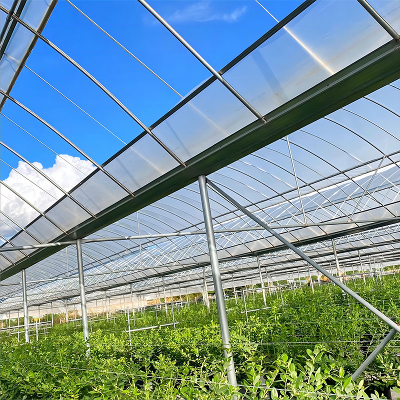 Film multi-span greenhouse