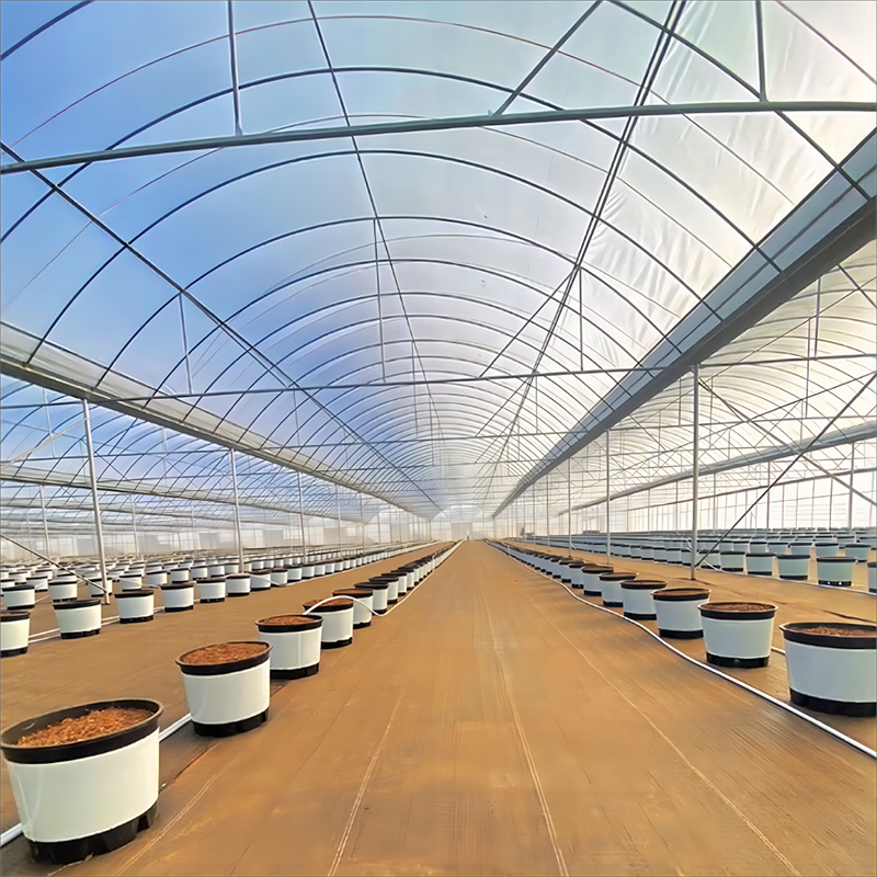 Film multi-span greenhouse