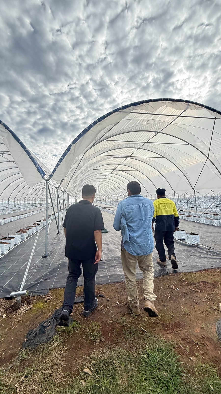 Our visit to our Australian clients was a complete success, with multiple projects signed on-site!