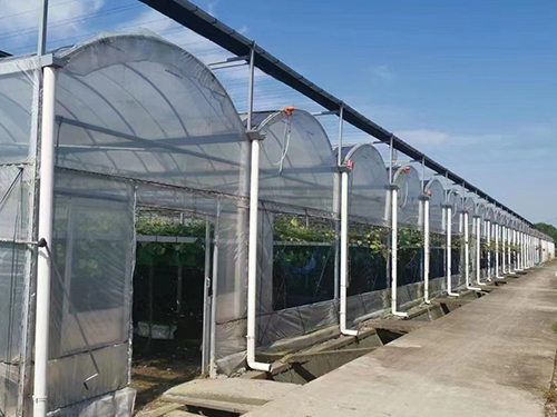 Things to note when building a greenhouse