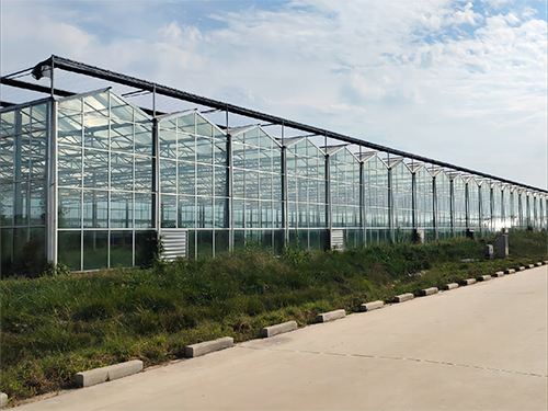 Glass greenhouse