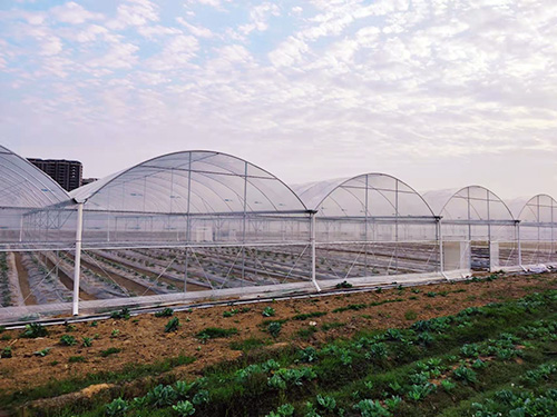 How should a multi-span greenhouse be dehumidified?