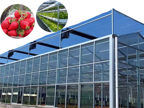 Multi-span agricultural glass greenhouse