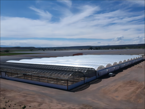 How to Choose Greenhouse Covering Materials?